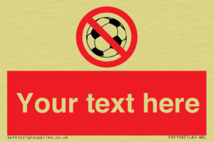 Custom No Ball Games Sign